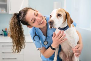 treatment for cushing disease in dogs