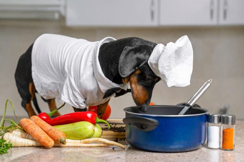 dog-looking-in-cooking-pot